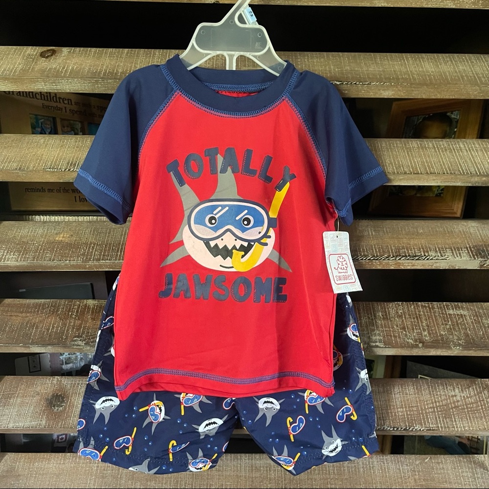 Boys 2pc Swimset